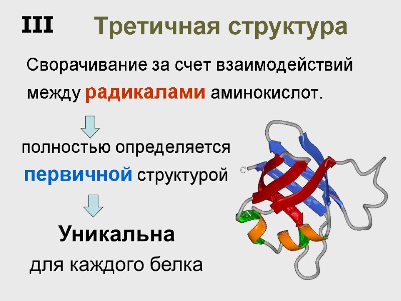 Третичная структура    Сворачивание за счет взаимодействий между радикалами аминокислот.  Уникальна